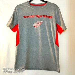 🎁 Detroit Red Wings team shirt . jersey size unknown please measurement below